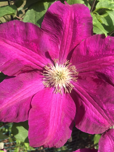 Any Witches Here?- Part 18