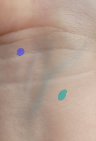 Can anyone help me work out my skin tone?
