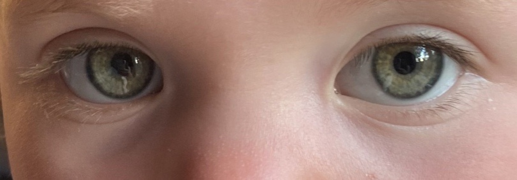 What colour would you say DD's eyes are?