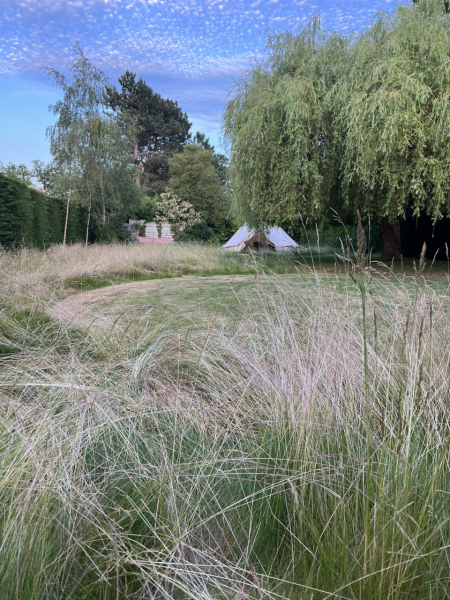 To mow or not to mow: What to do with no mow May lawn now it's nearly July
