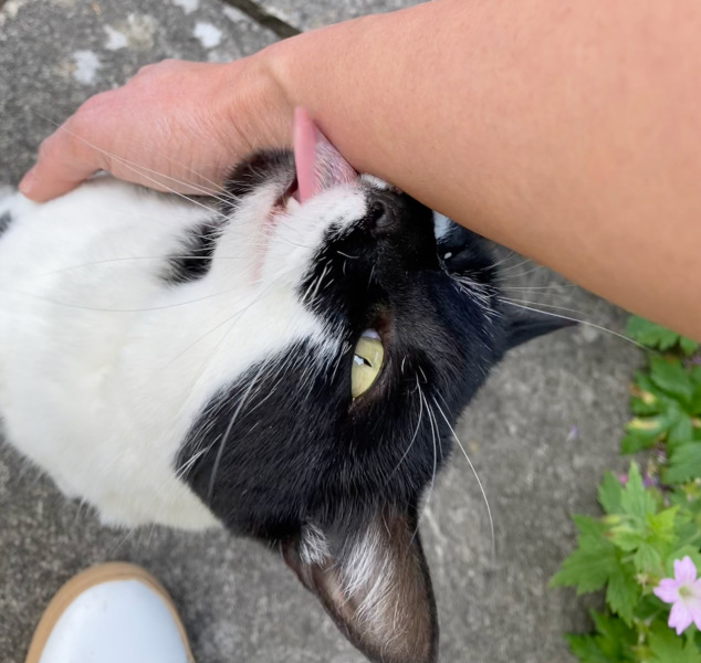 Thread 8 - TalkLair: “Brewing Russell's teapot” 