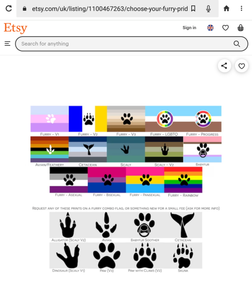 LGBTQ etc revised flag.