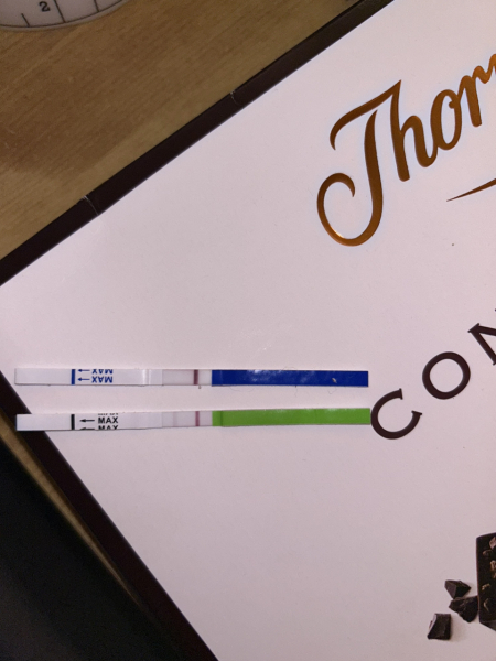 Clear blue test. Evap line or positive