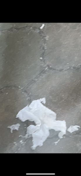 Tissue and cigarette end found in garden 