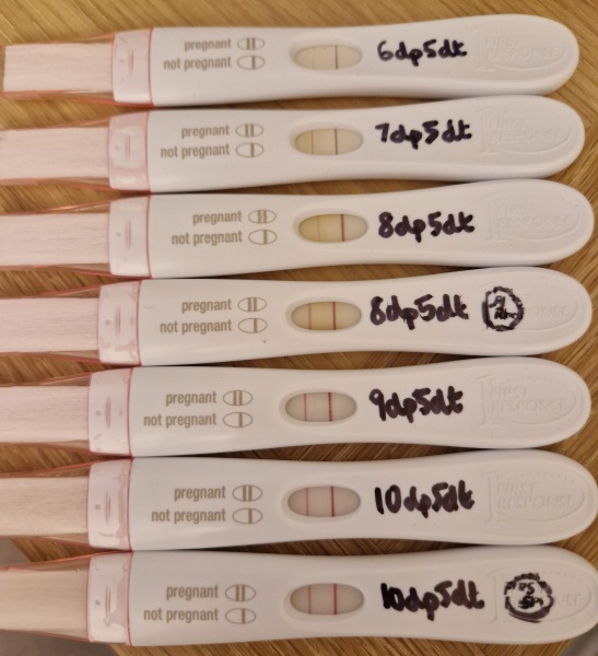 IVF/ICSI/FET May 2023
