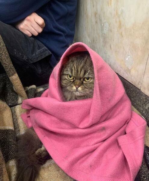 Ukraine Invasion: Part 40