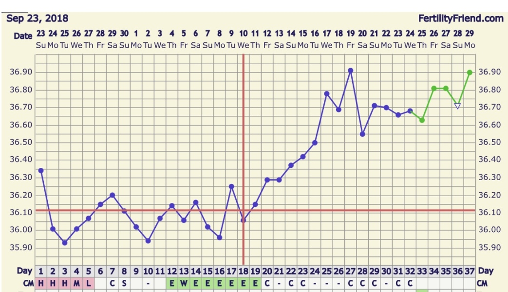 BBT Graph