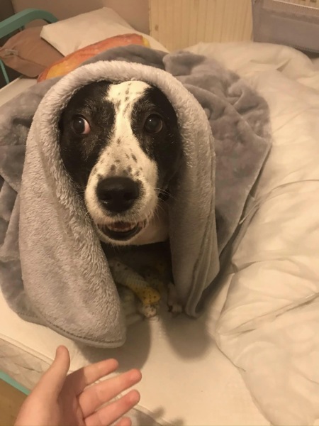 So devastated to say goodbye to my girl