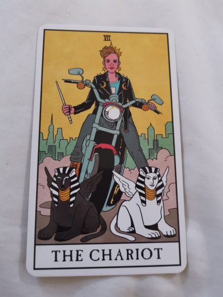 Anyone want a tarot reading?