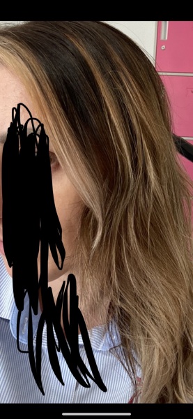 Does my hair colour look stupid.?
