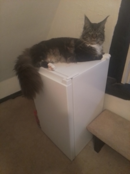 Cancer Support Thread 87 - everyone here is so supportive.