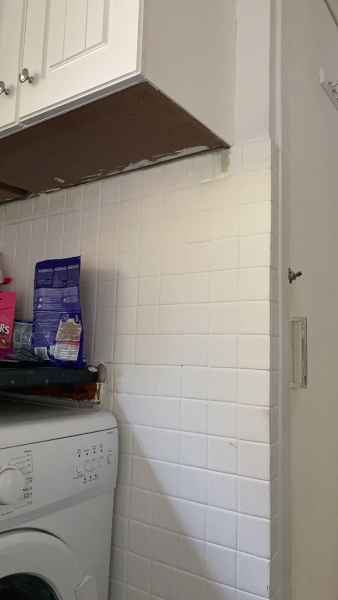 Budget kitchen update (pics)