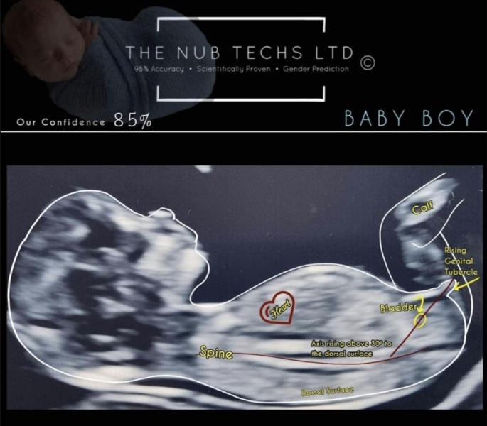 Nub theory prediction wrong?