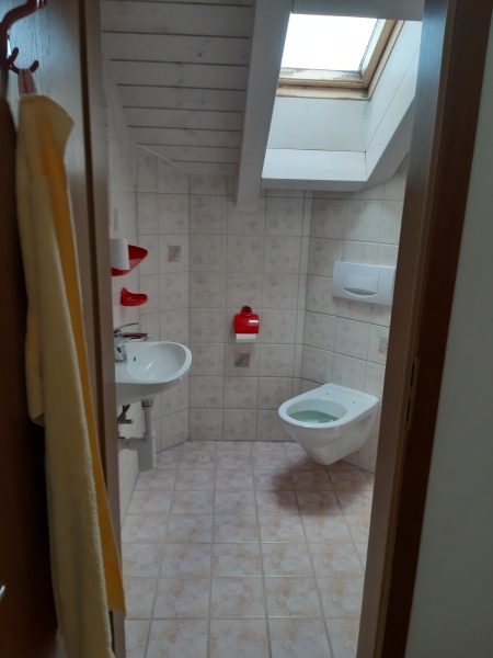 Tiling on walls in guest toilet