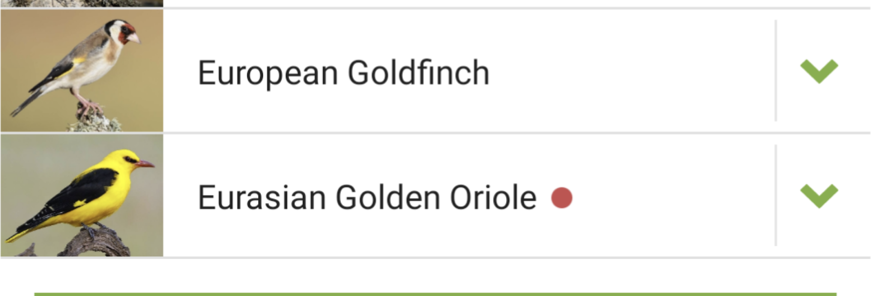 To tell you about the Merlin app - Shazam for birds?