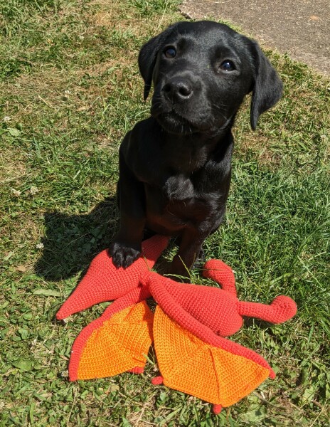 It's Crochet, Knit & Natter 10: New Year, New Yarn, New Thread!