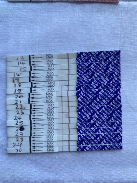 Confirmed miscarriage but slight hcg increase.