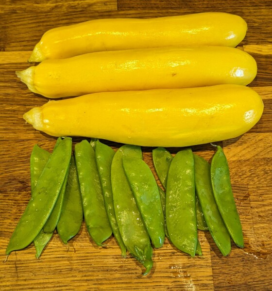 The Vegetable Patch Mark 2