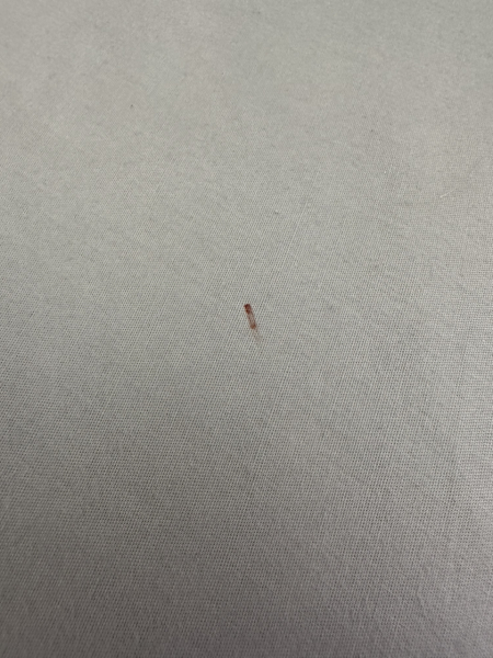 What do I do?! BEDBUGS