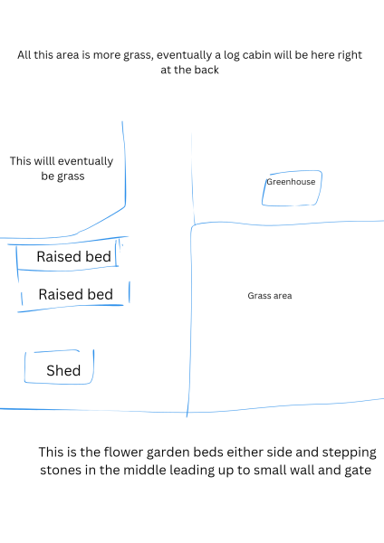 Advice on my garden please 