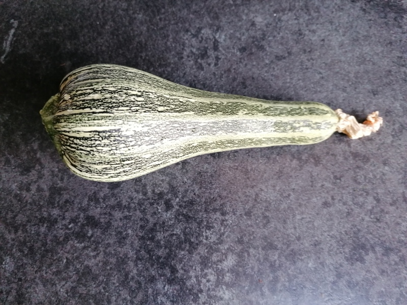 Courgette help
