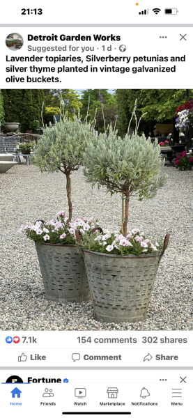 Potted tree for an enclosed space
