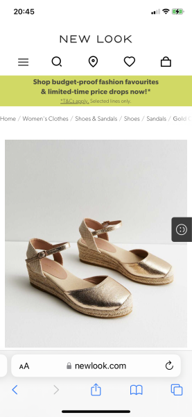 Are these shoes appropriate for work?