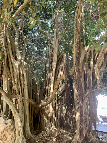 Any Witches Here?- Part 18