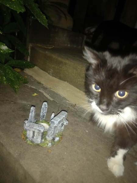 Cats used to be worshiped as Gods...
