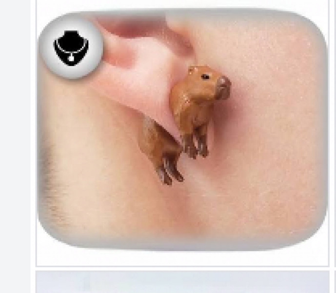 To ask wtf has my DH been searching for to return this advert?