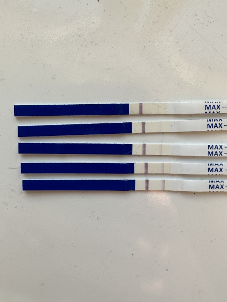 TTC May 2023 💖✨ previous MC March 2023