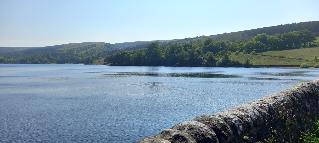 Come and tell me your dull and unexciting news 25: Calmly through the day 