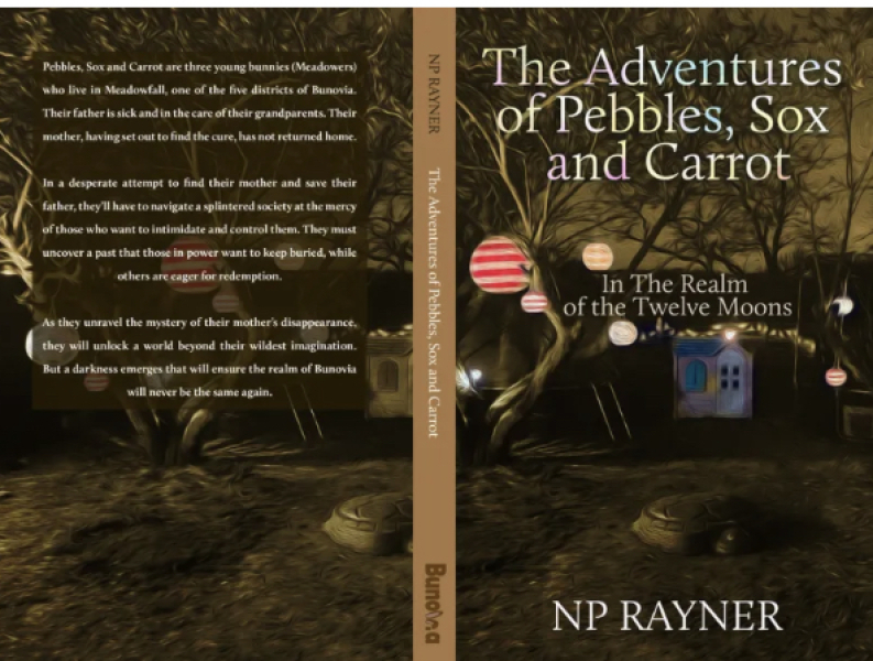 New youth fiction novel