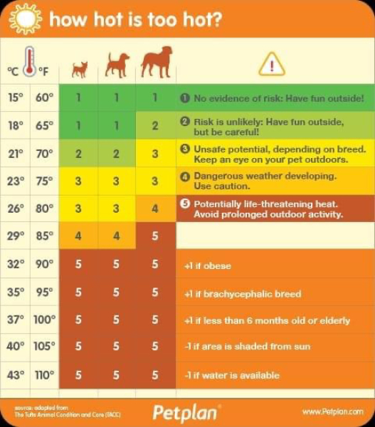 How hot is too hot?