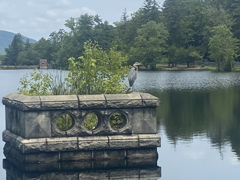 Come and tell me your dull and unexciting news 25: Calmly through the day 