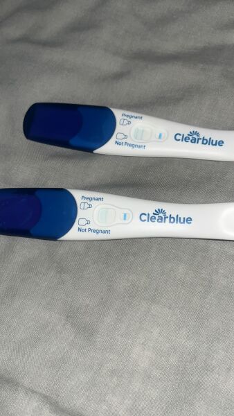 Pregnancy Test 