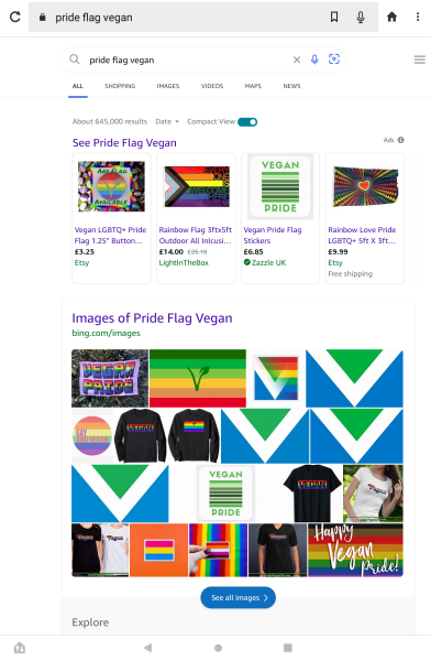 LGBTQ etc revised flag.