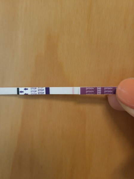 Progesterone