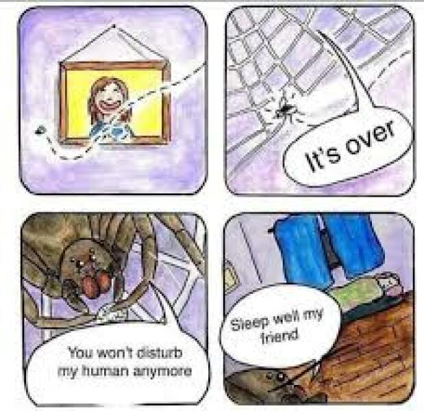 To kill this spider