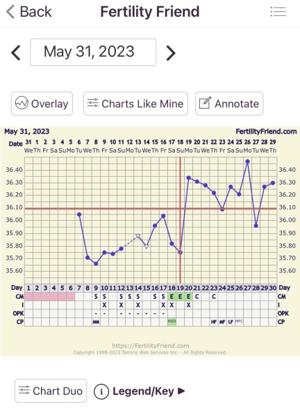 Have I actually ovulated??