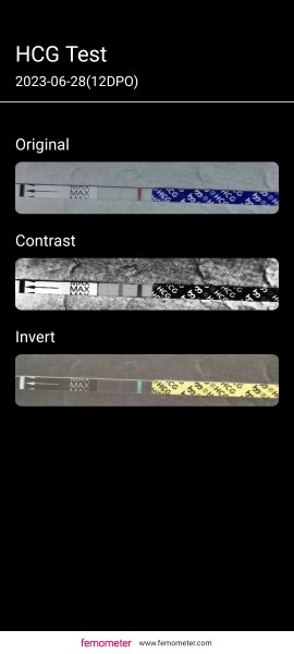 Pregnancy Strip Test Recommendations? 