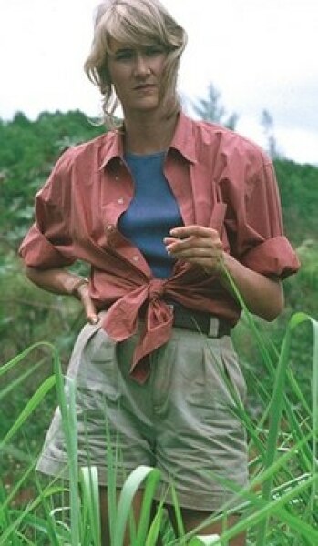 Where can I buy shorts like this?
