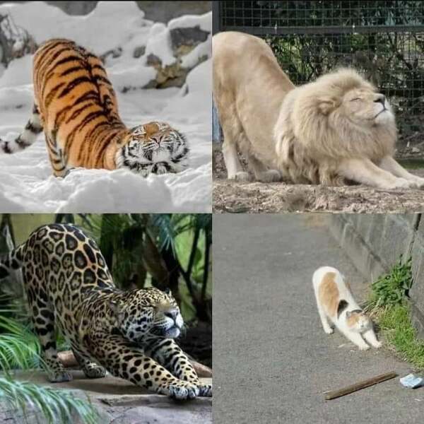 Thread 7 - TalkLair: “In fact it’s an oblate spheroid”