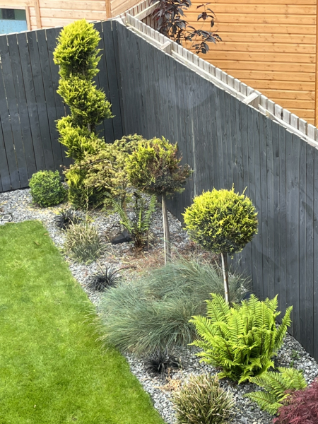 What have you done in the garden today? Part 2