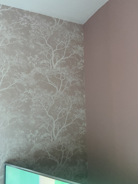 What colour is your front room