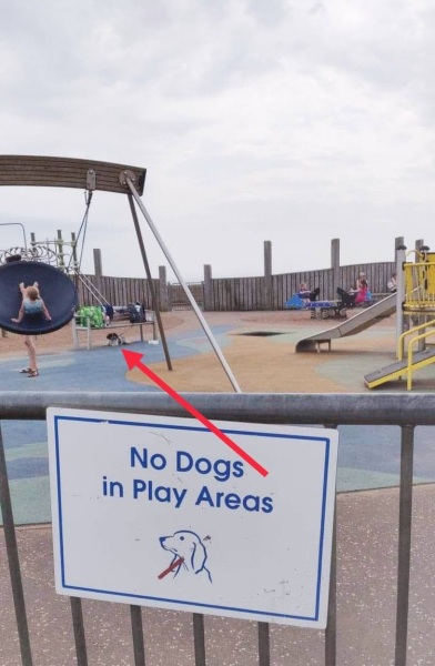 Ignoring "No Dogs" sign