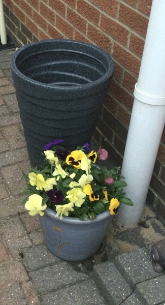 Giant pots