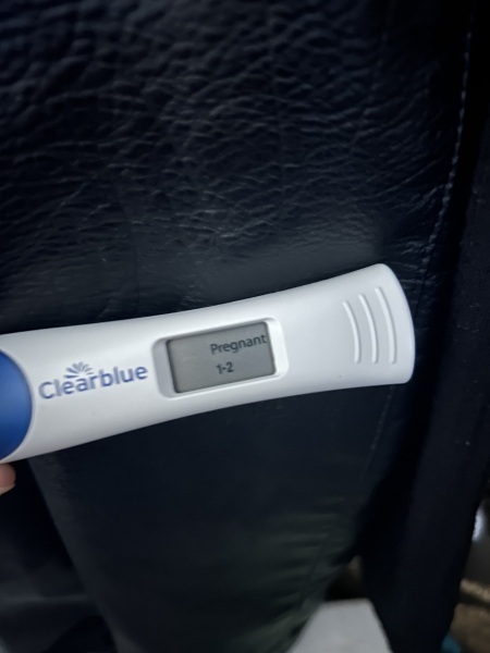 Due February 2024!
