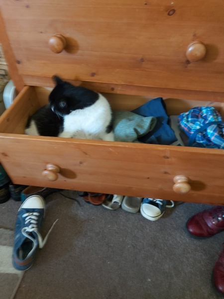 Any Witches Here?- Part 18