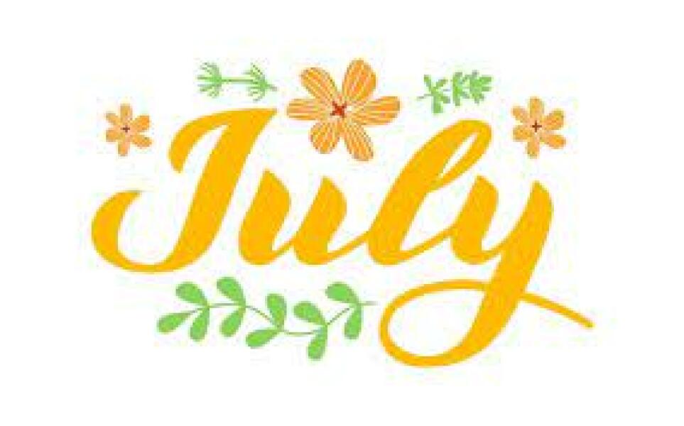 ⭐️LOSE IT! July 2023. Summer Edition⭐️
